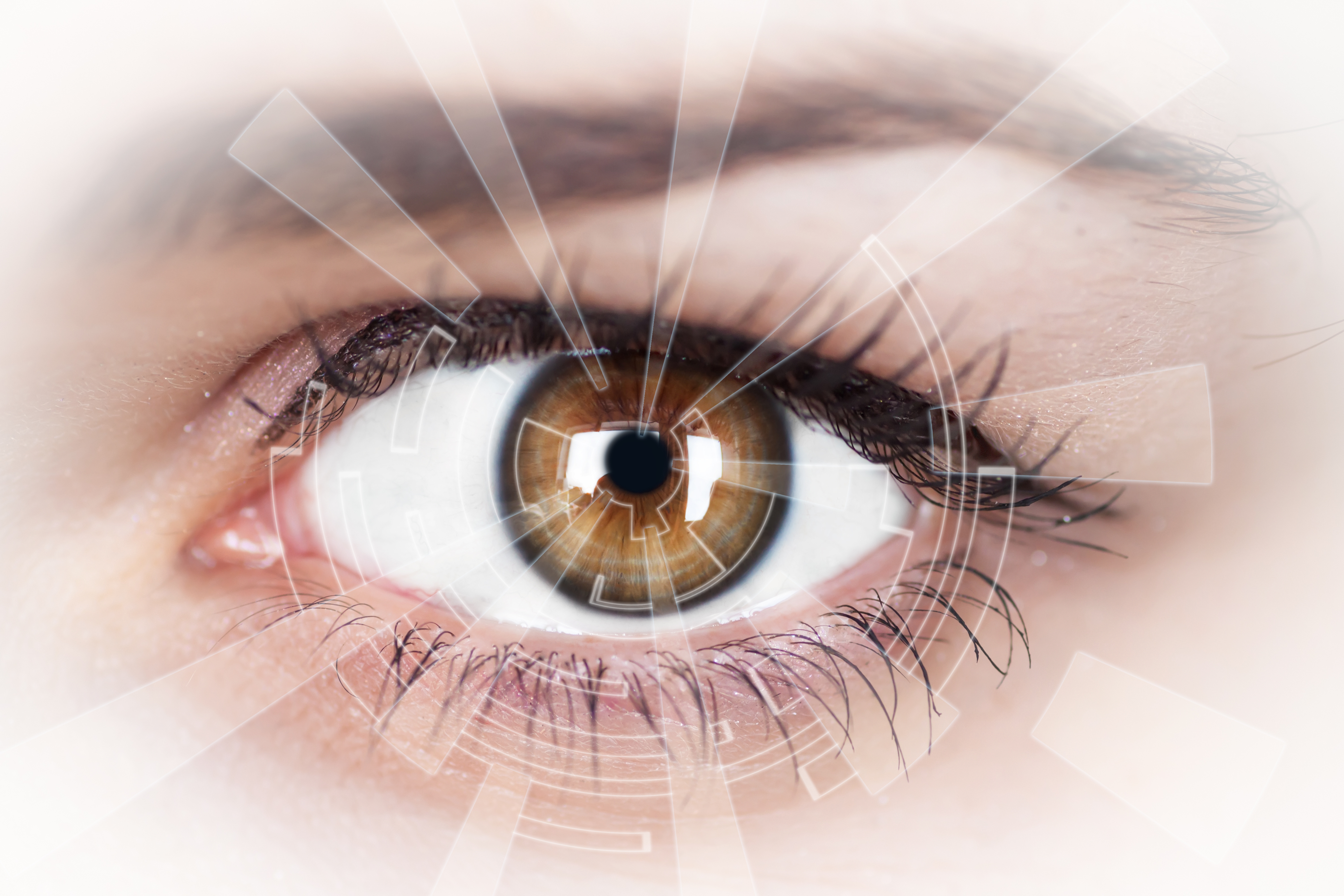 scanned eye by iris scanner