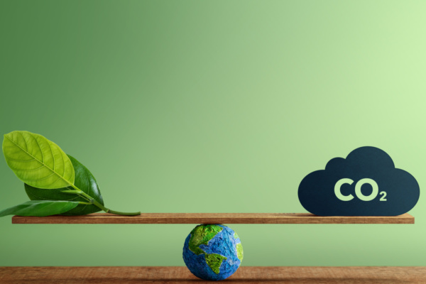 Így működik a Website Carbon Calculator!
