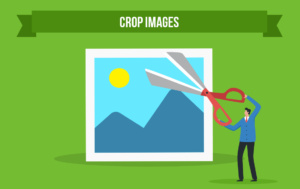 Carbon Crane Image Optimatization 4. Step Crop images