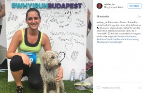 adidas District Battle Run II - Instagram közvetítés: Életkép az esőben